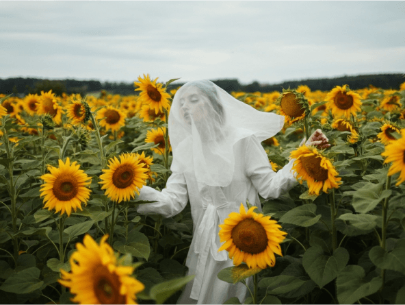 Curanostics - Desktop UI