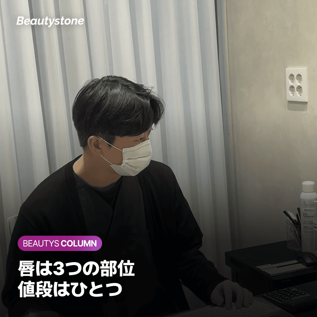 唇の3つの部位と輪郭線を示した図