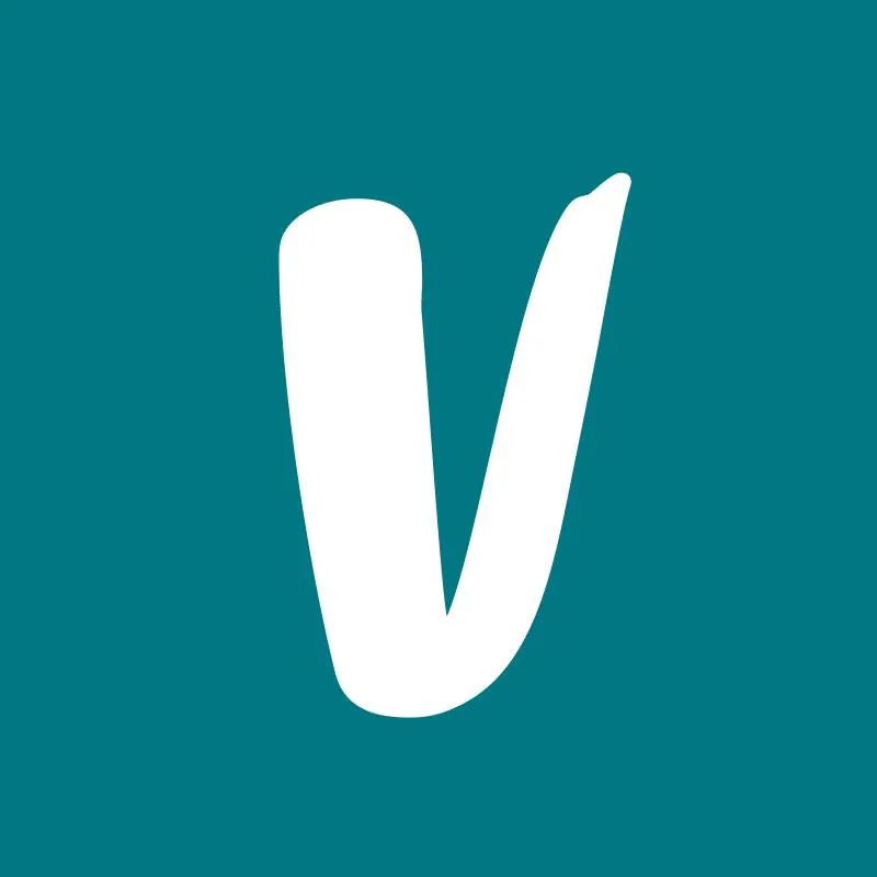 Vinted icon