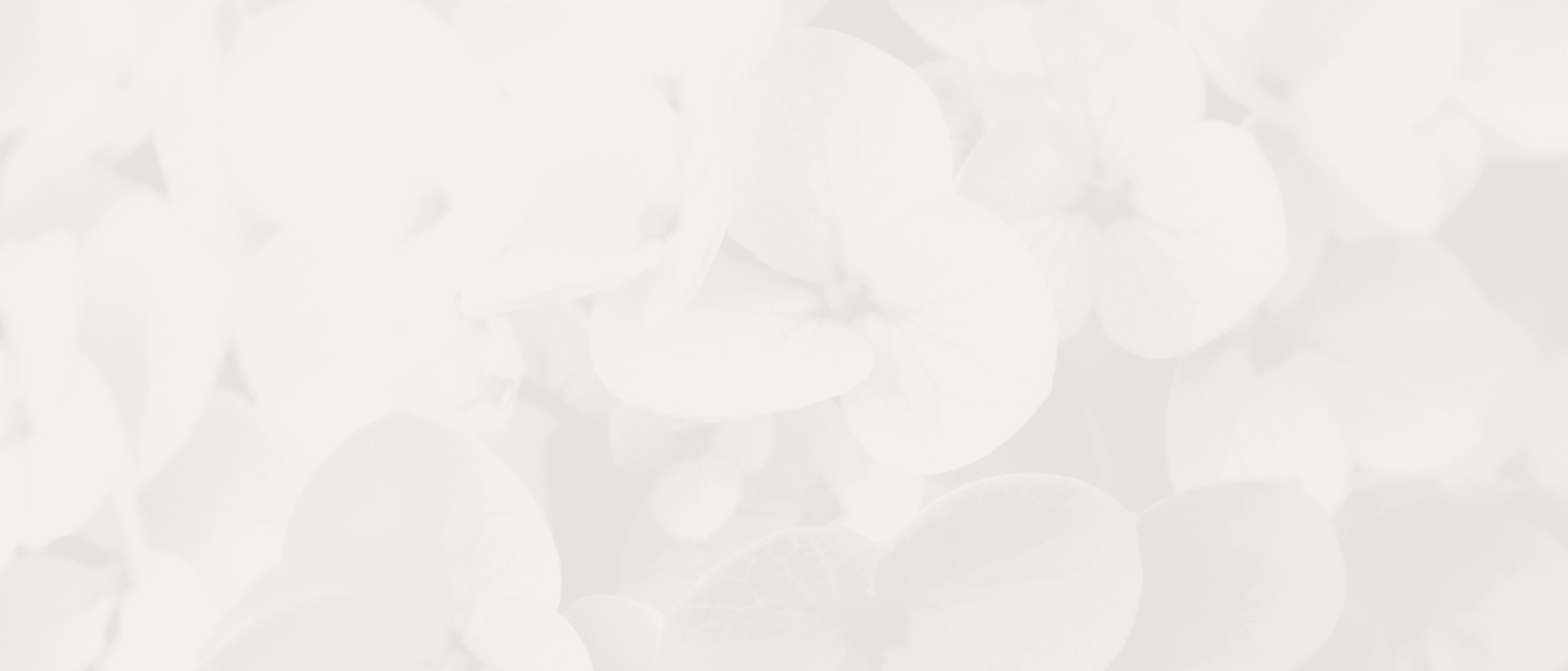 Hintergrundbild für die Website von Maria Wiethaler