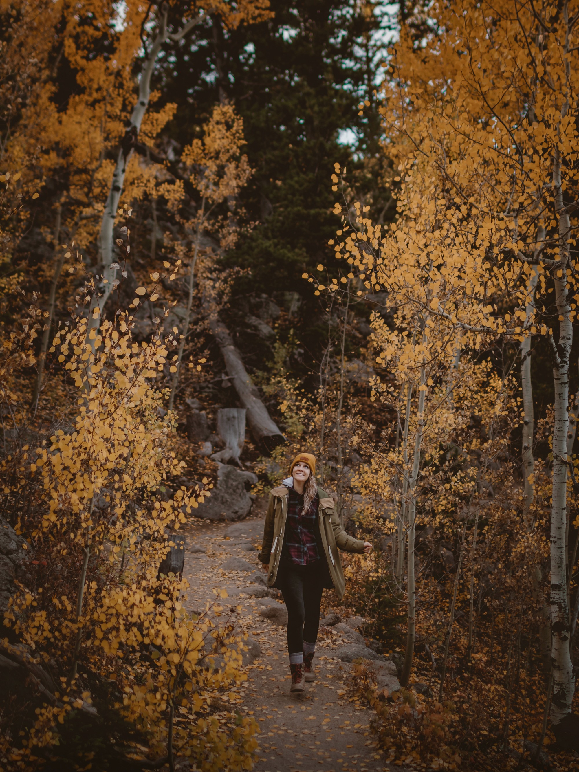 Julie walking through the golden aspen trees in autumn