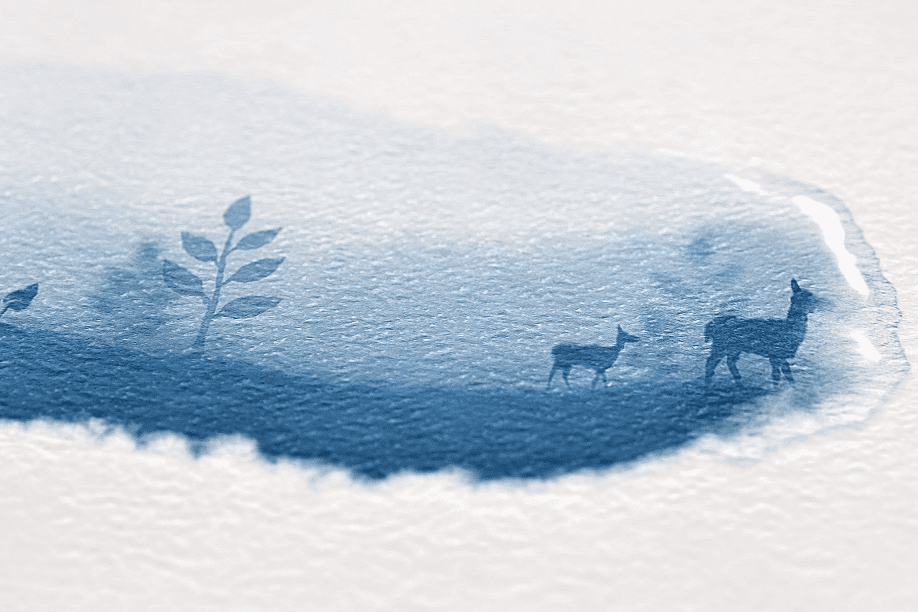 Watercolor painting of deer and plants in blue.