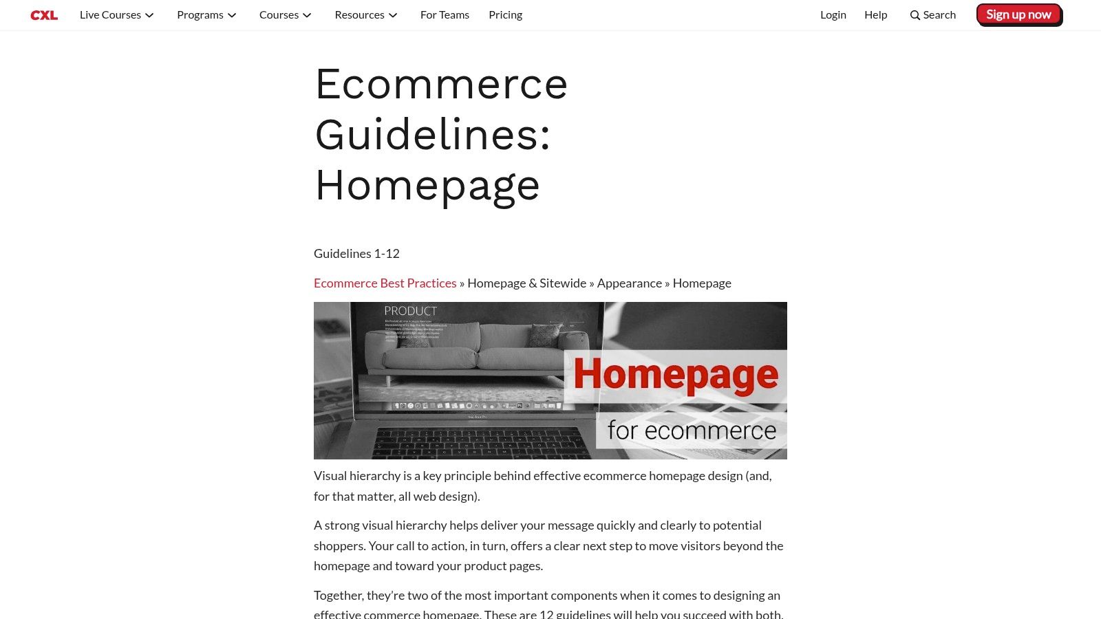 6. Prioritize a Flawless, Mobile-First Experience