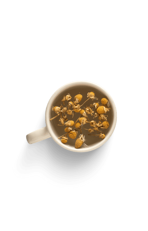 A 3D rendered geometric shape resembling a purple plastic pipe connector with six cylindrical openings arranged symmetrically, showcasing a modern and abstract design.