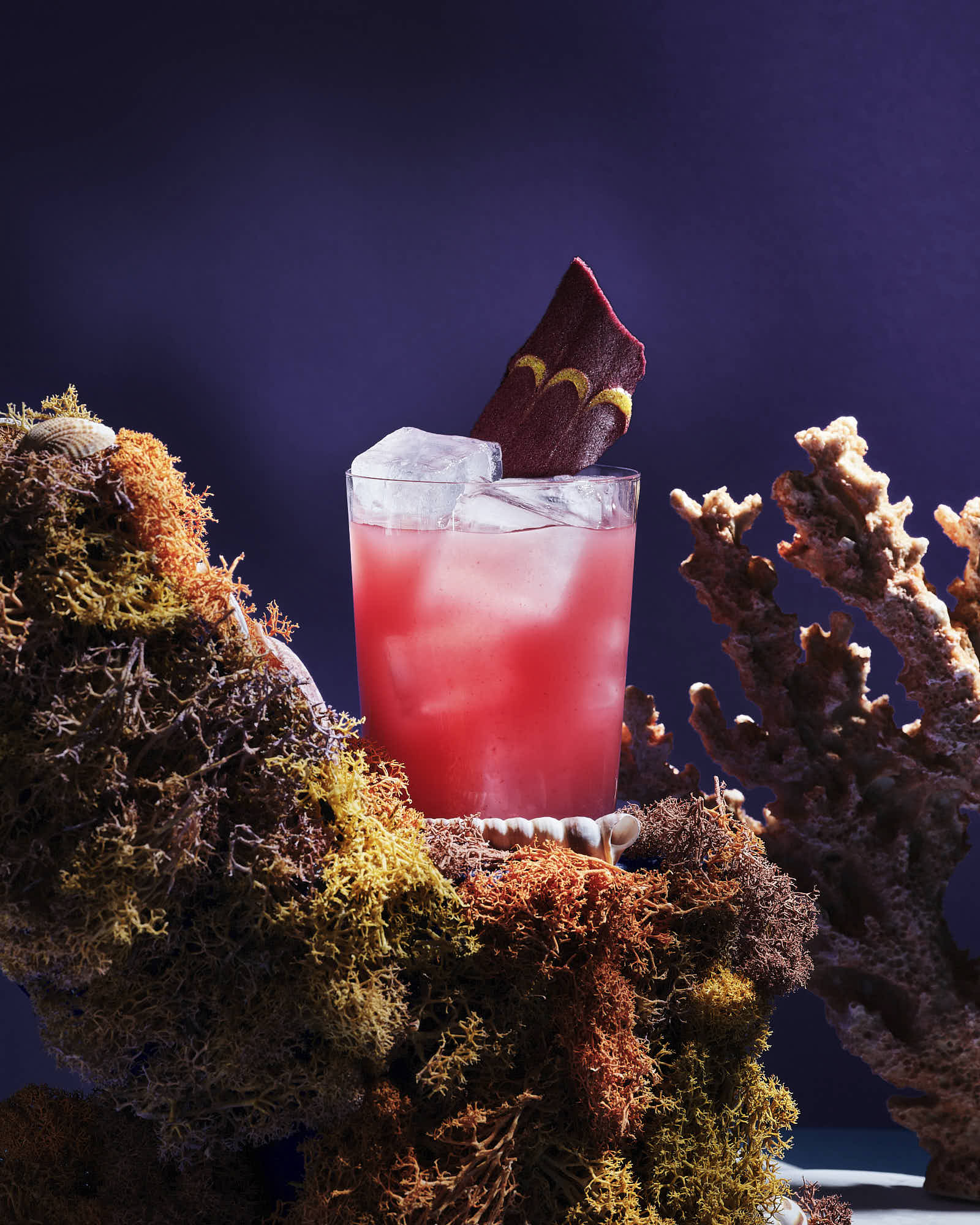 A colorful cocktail in a glass with a garnish, surrounded by vibrant decorative elements.