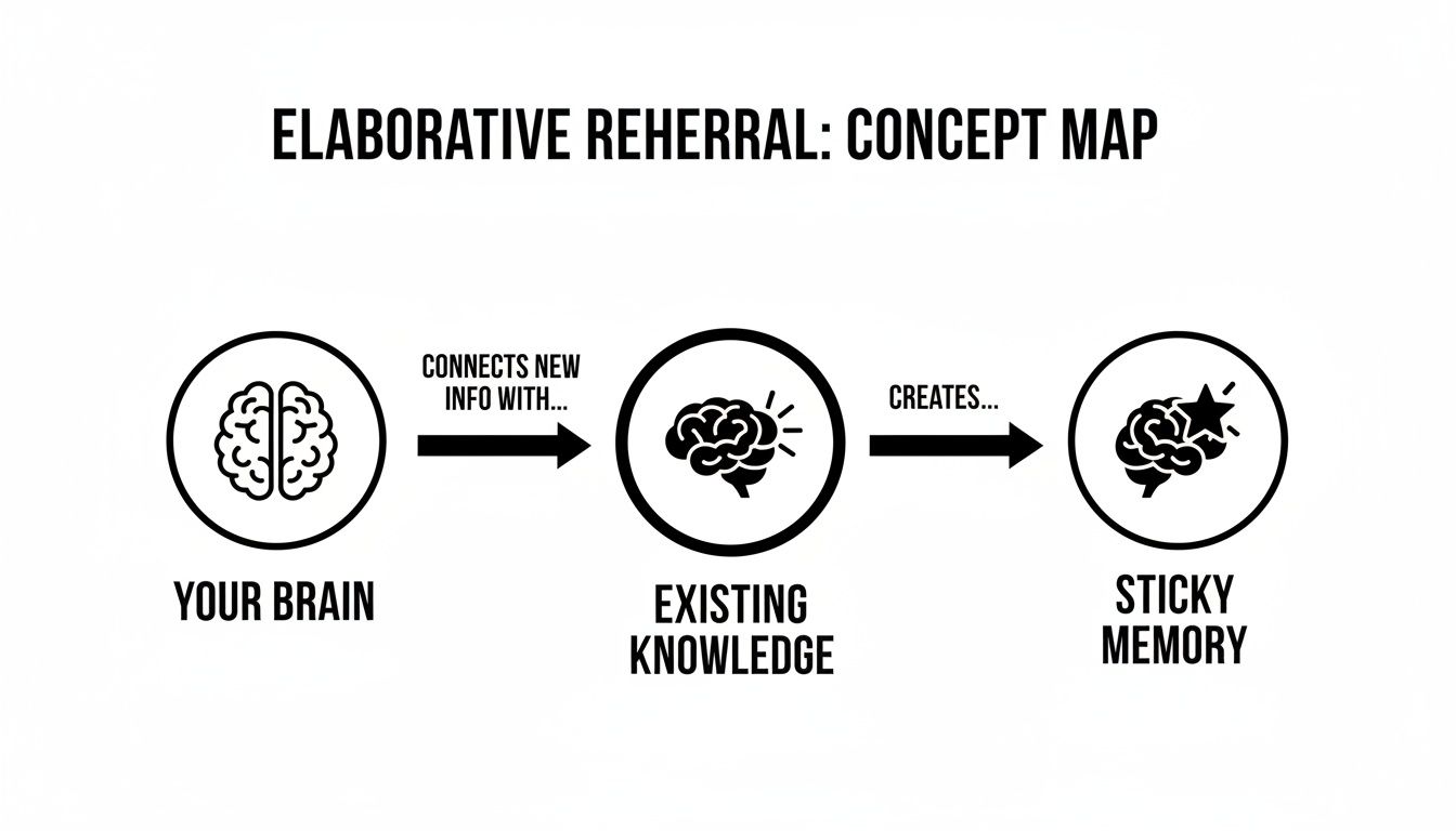 Concept map illustrating elaborative rehearsal, showing new information connecting with existing knowledge in your brain to form sticky memory.