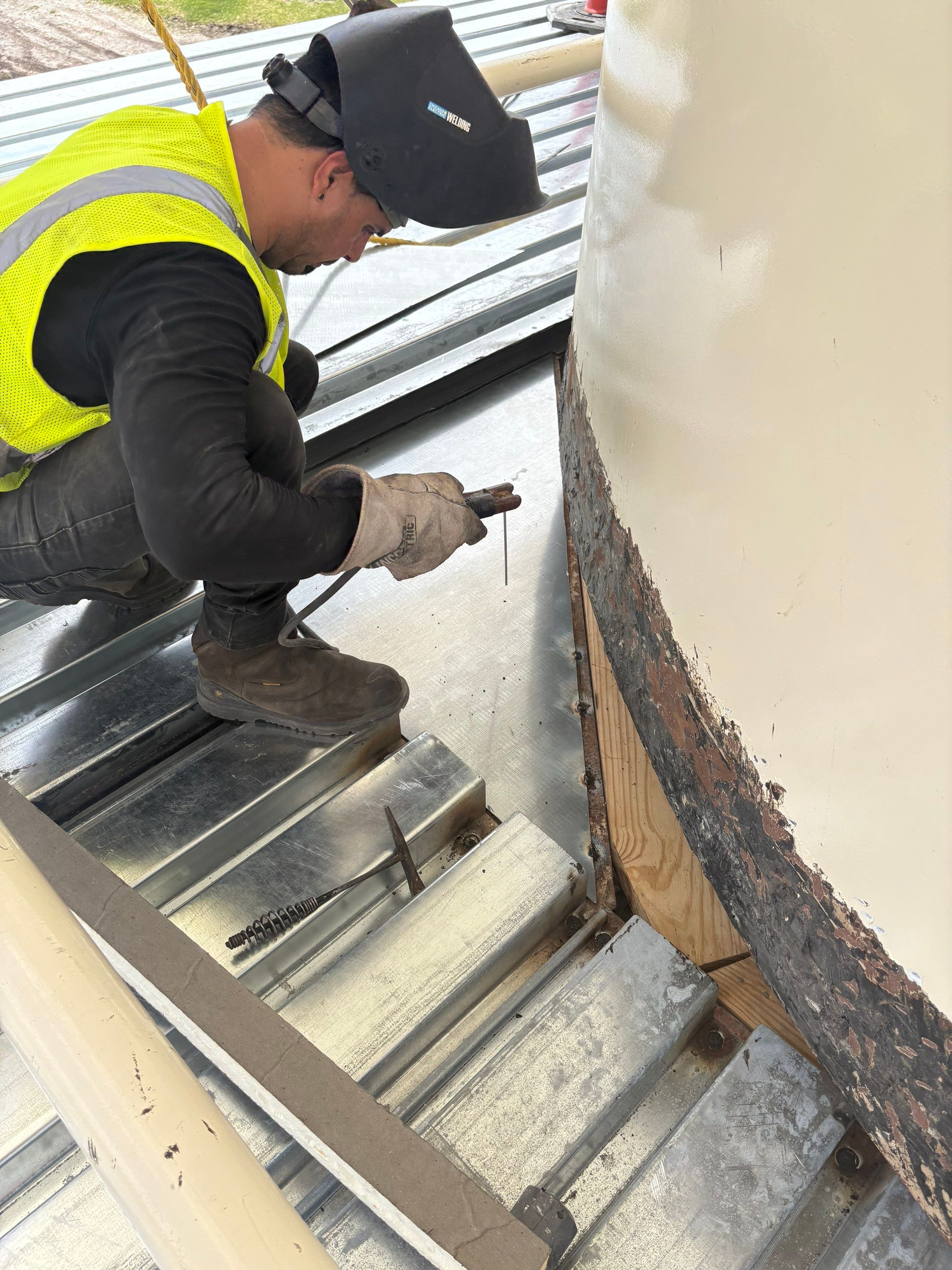 Plants