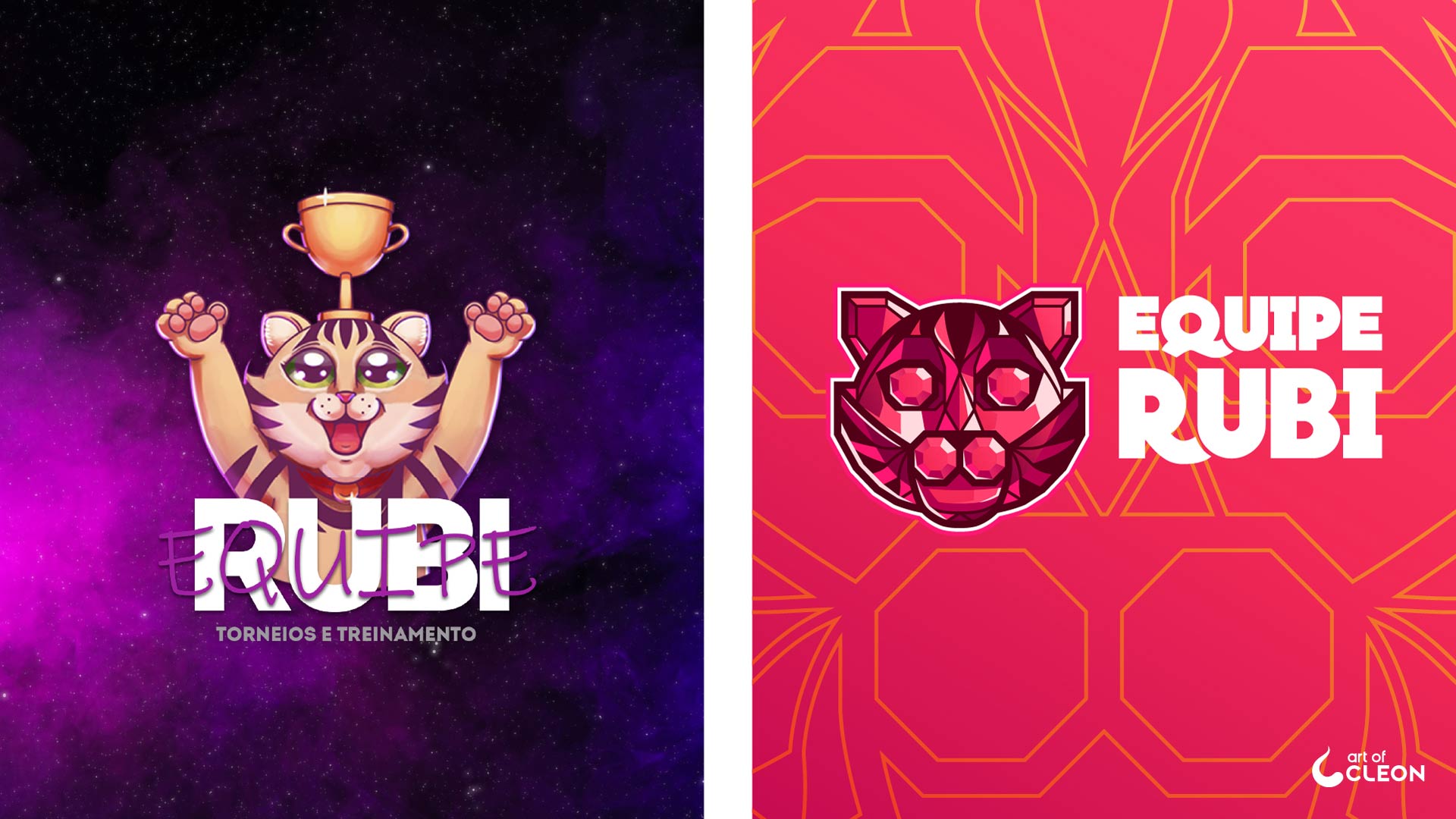 Before and after comparison between the earlier detailed Equipe Rubi mark and the simplified faceted cat symbol.