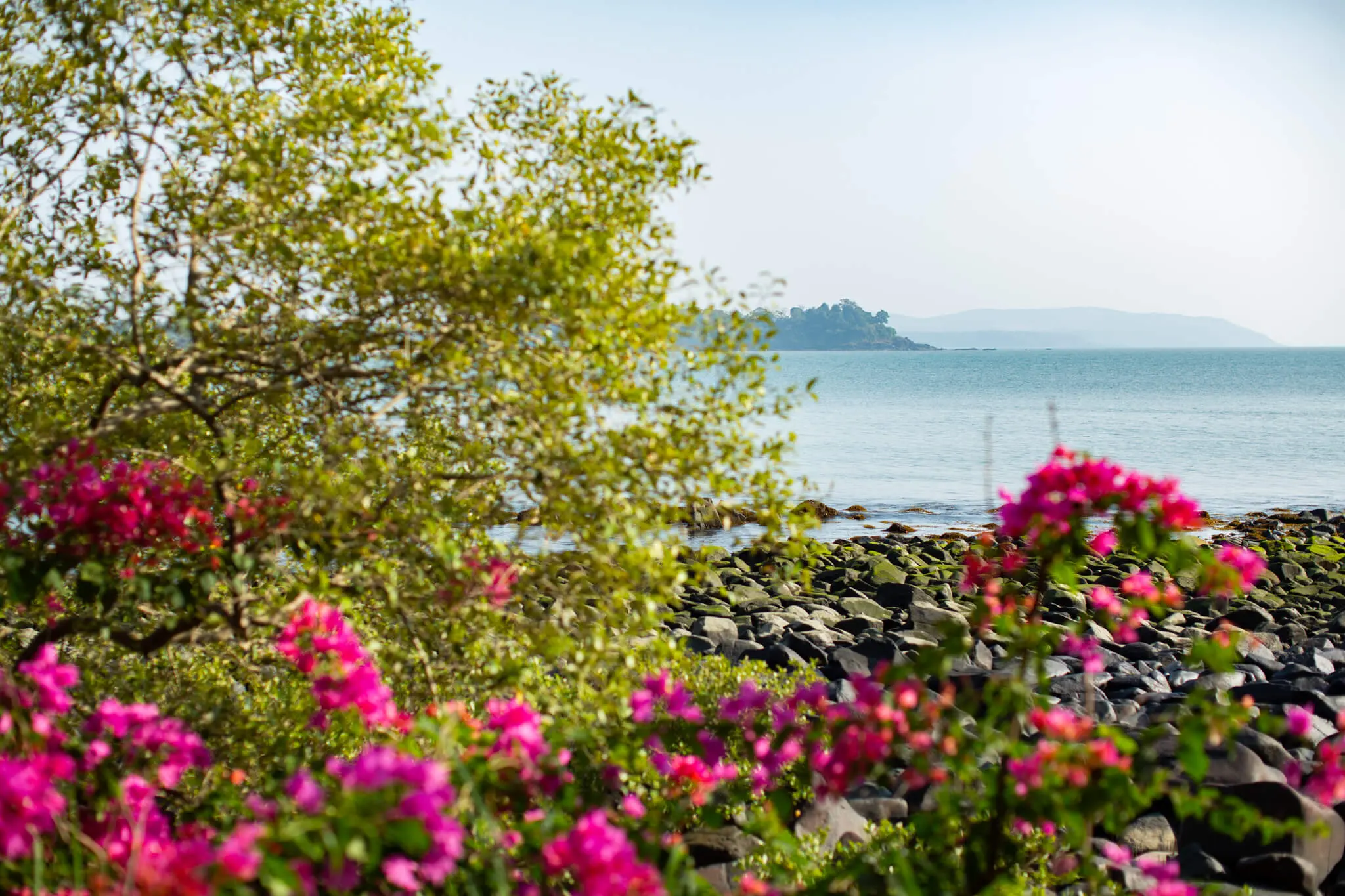 Sea View Hut 5 at Casa Jaali — bougainvillea over the bay
