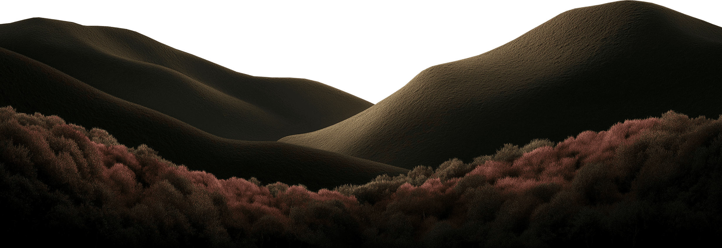 Transparent image of grass hills