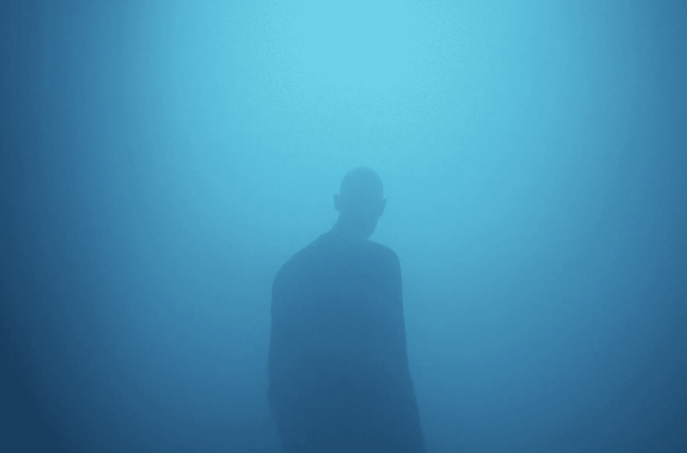 Dom Pérignon vineyards from the sky