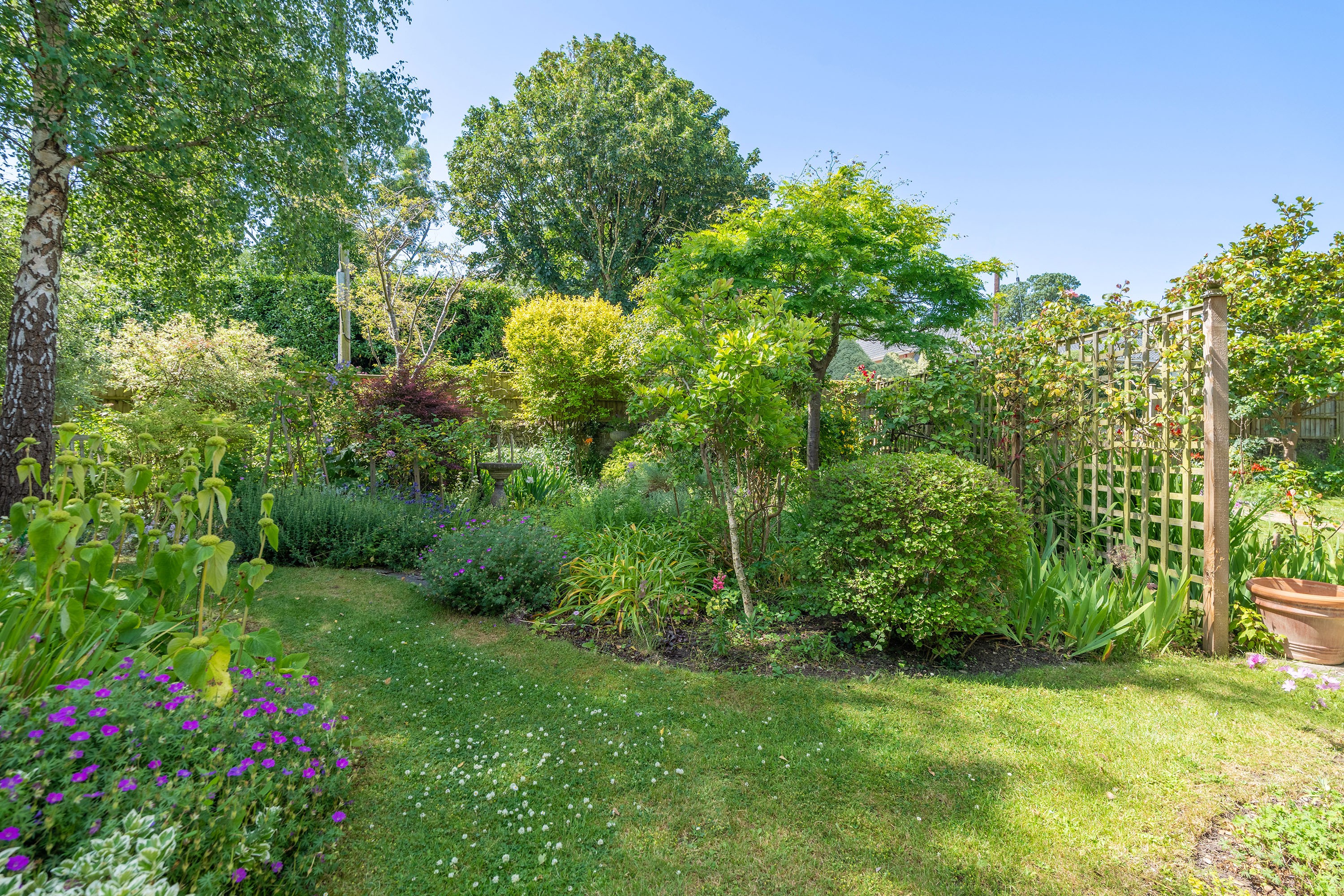 Lawn, mature trees and shrub borders in the garden at Henmore House, Weare, Somerset — Captura Media