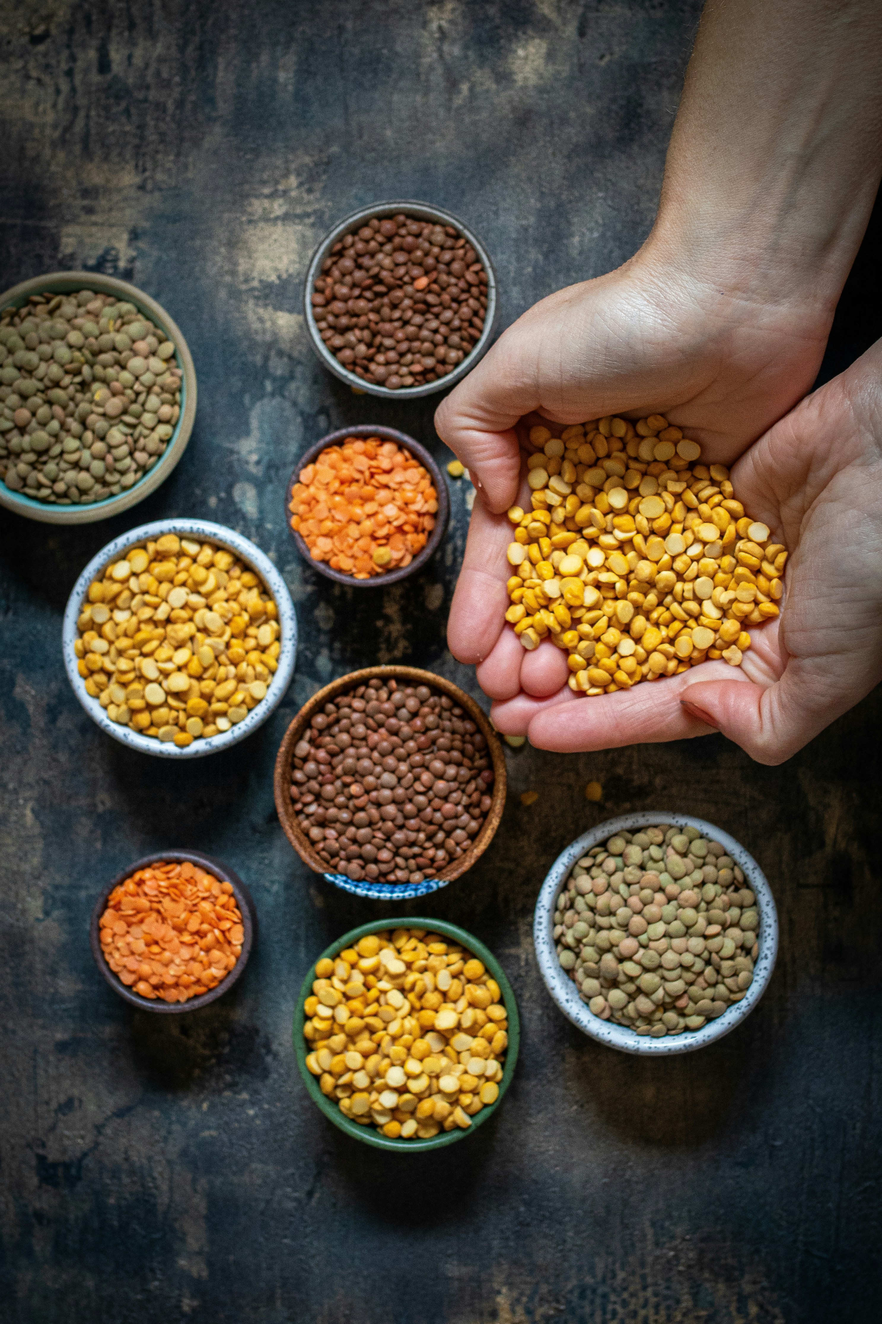 lentils and Postbiotic Production Through Nutrition