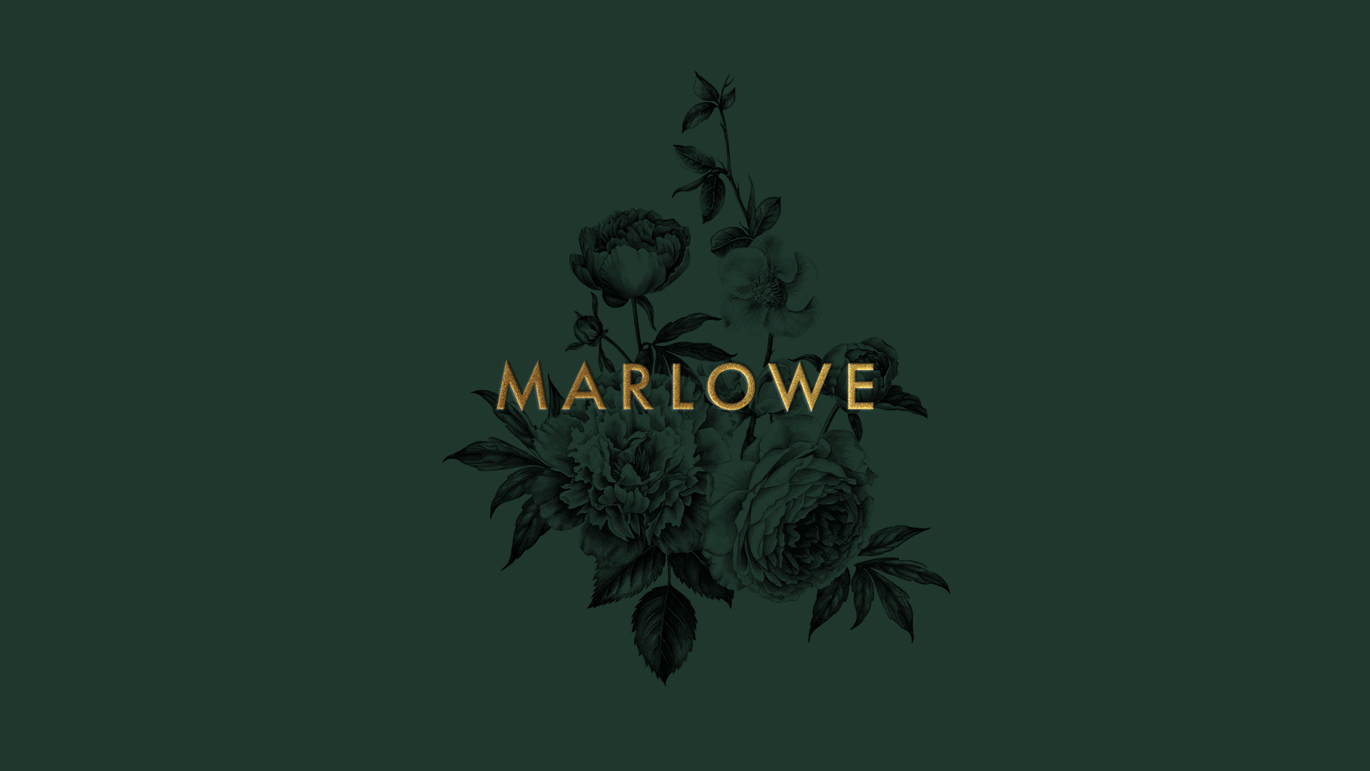 Marlow branding assets gif