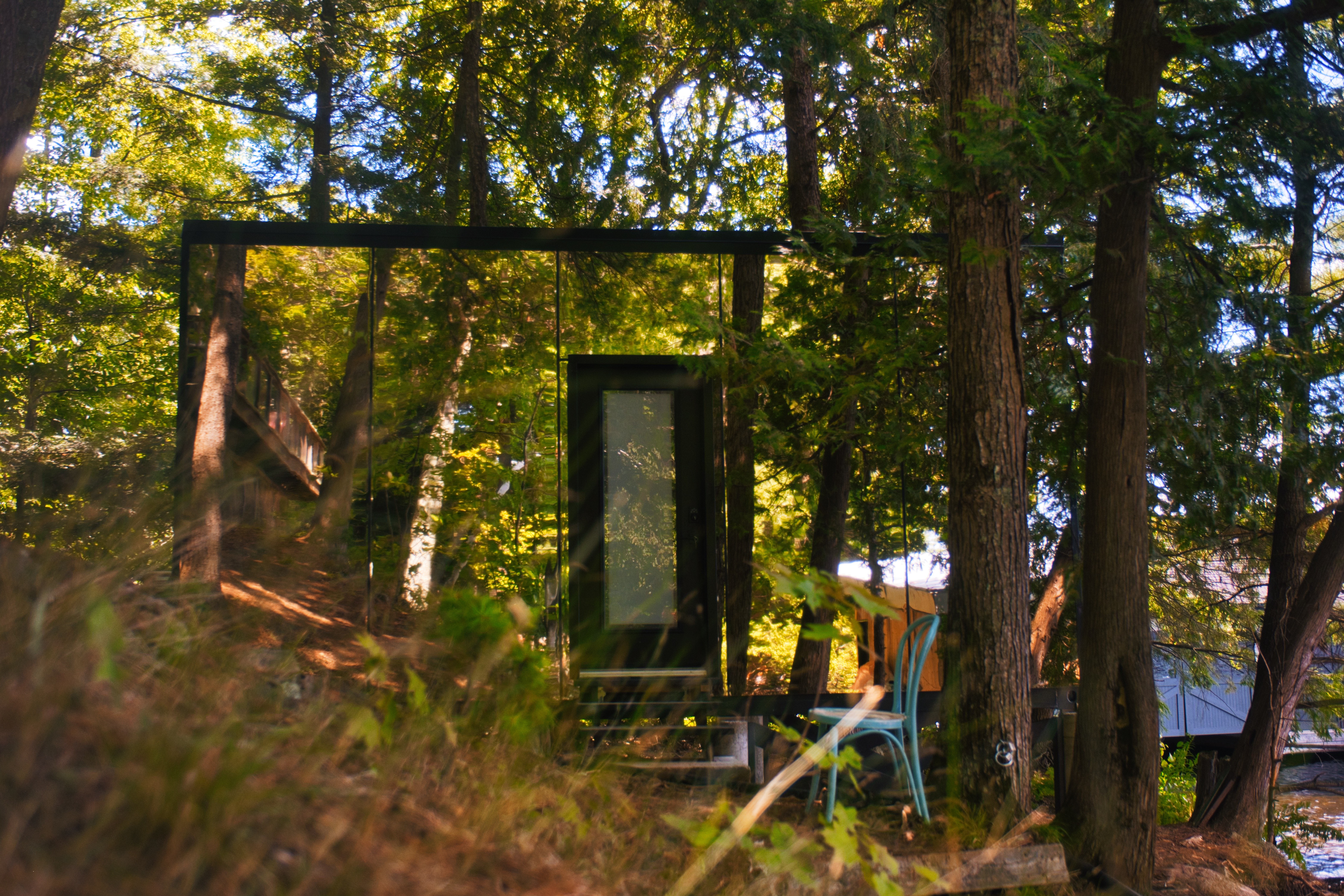 backyard modern home