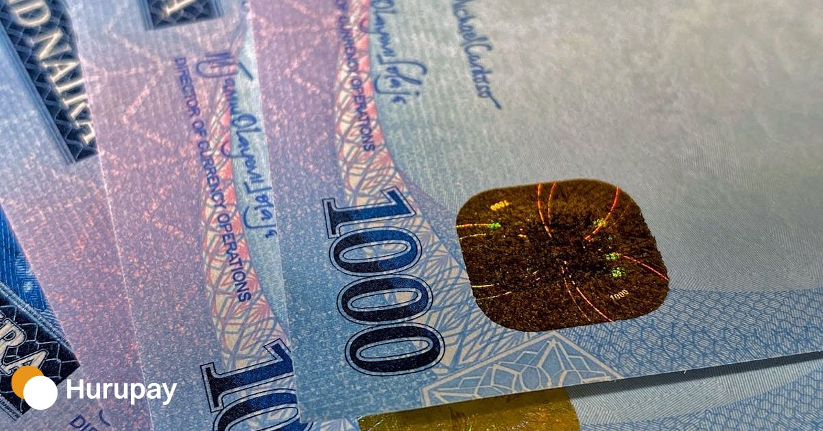 A Close Up Look Into The Nigerian Naira