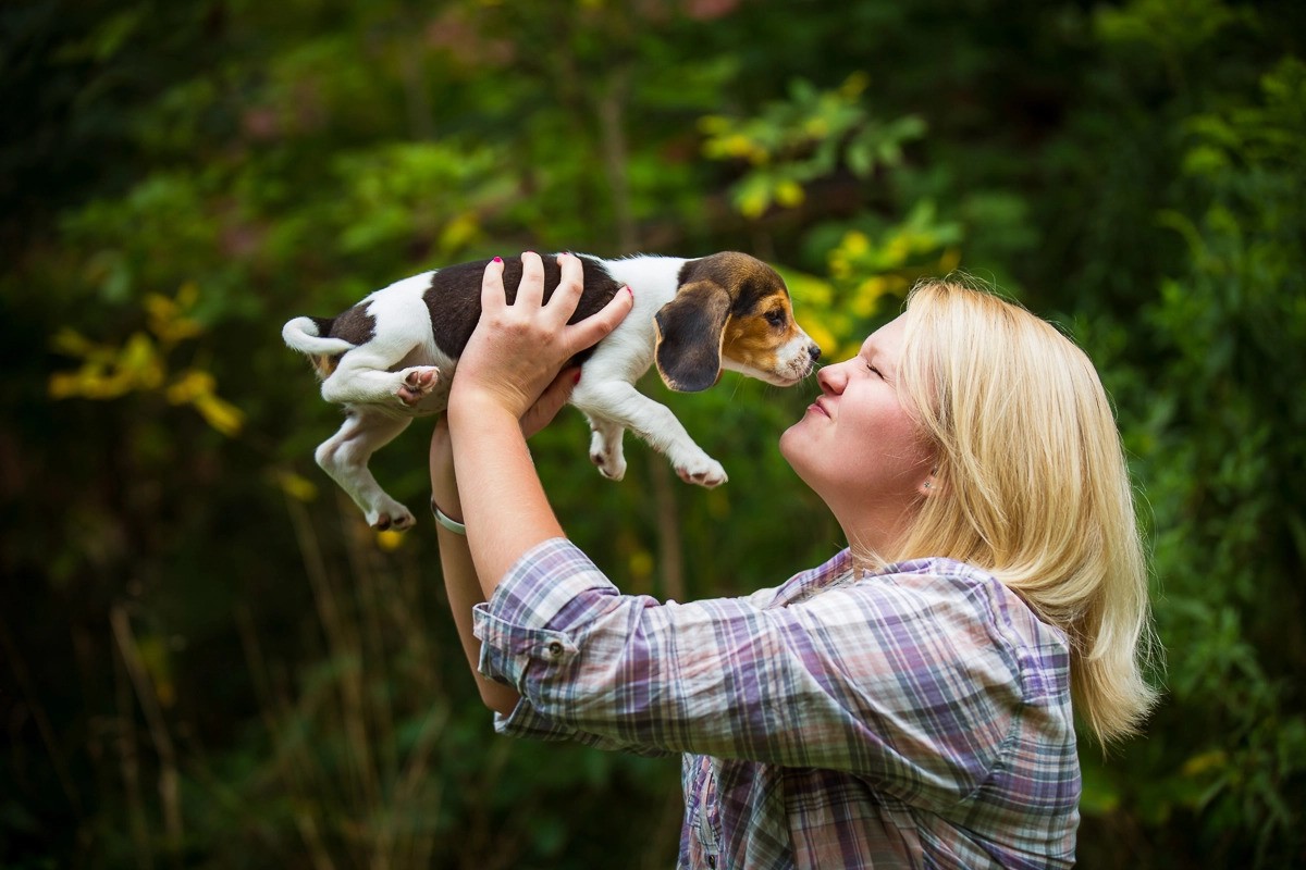 blue spiral light on red background