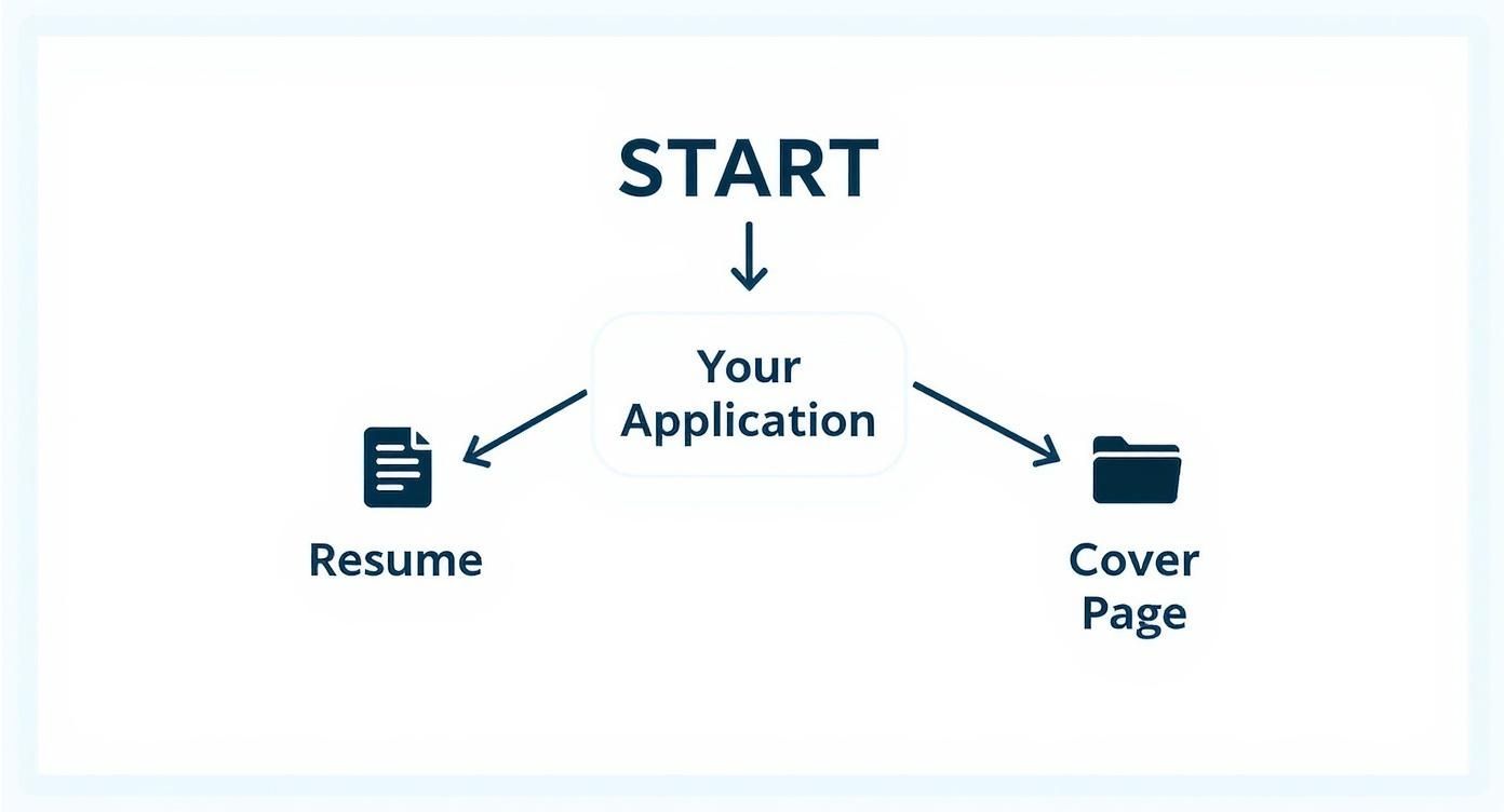 Infographic about wo kommt bei einer bewerbung das foto hin
