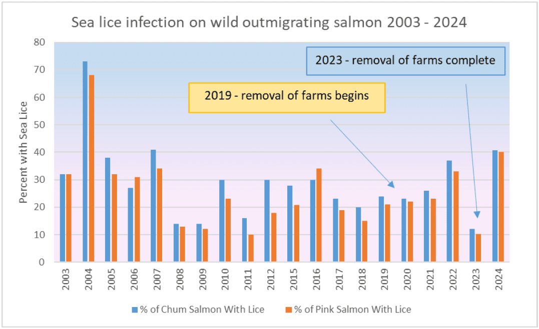 Graph of Sea Lice Infection on Wild Outmigrating Salmon 2003 - 2024