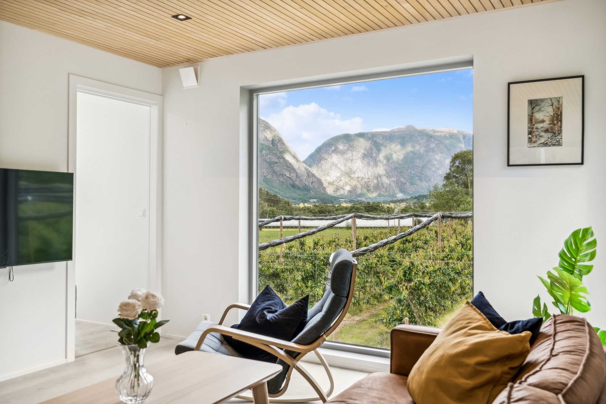 Modern living room with purple sofa, colorful rug, and open shelving