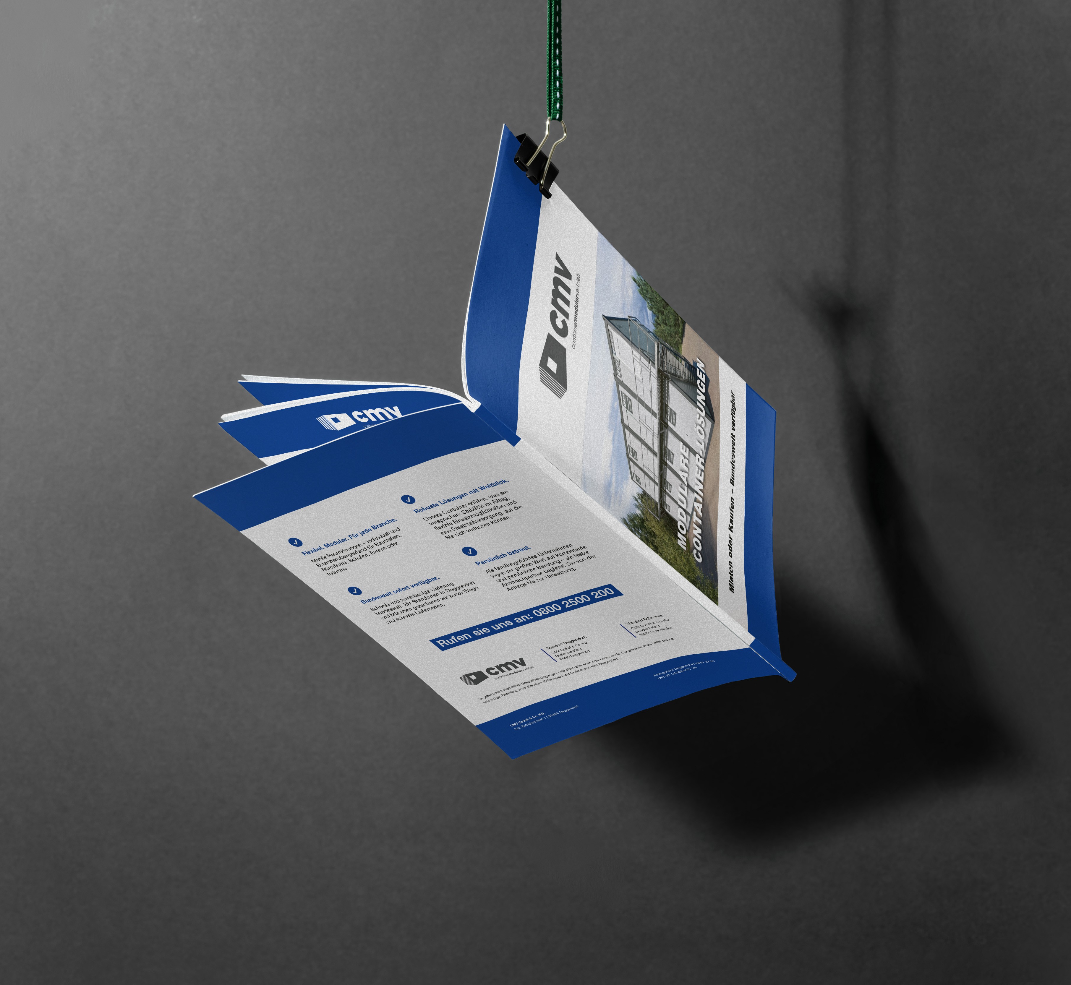 red rose in close up photography