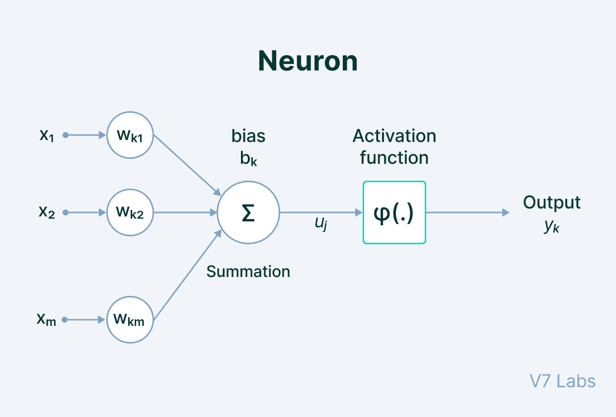 Neuron in Artificial Neural Network components