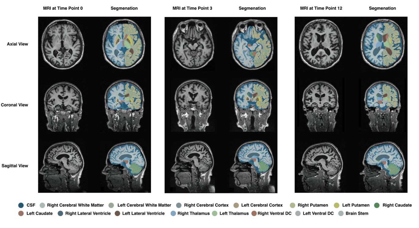 HealthWell  Website - Budgeting Section