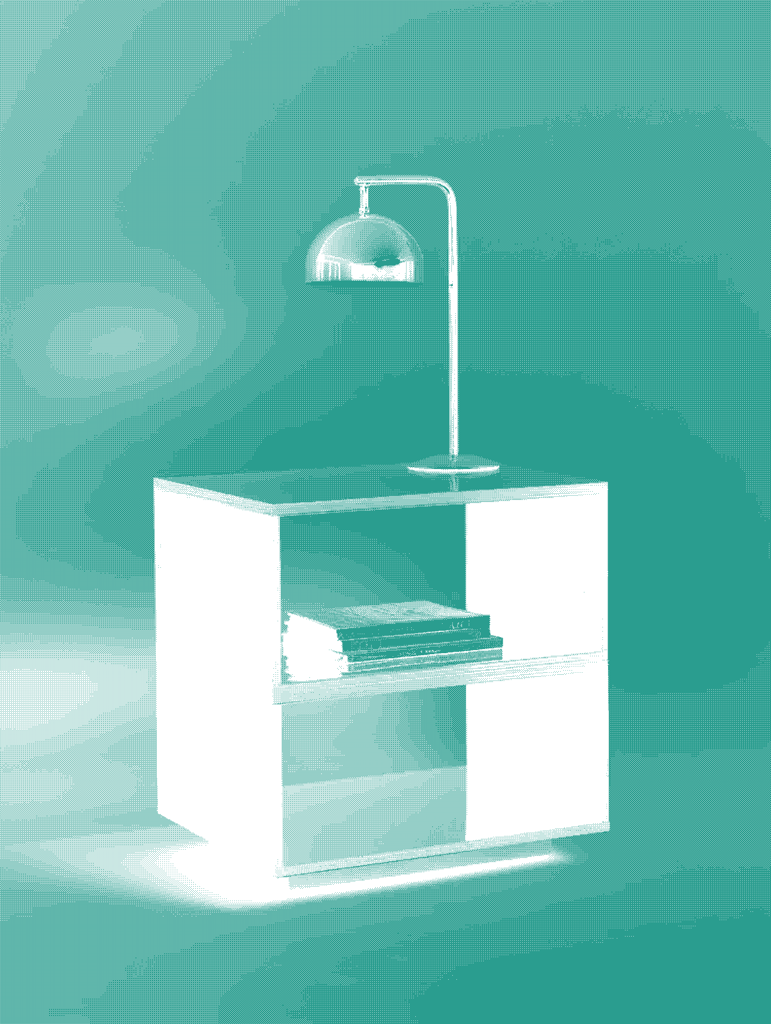 A bookshelf setupwith a desk lamp on top