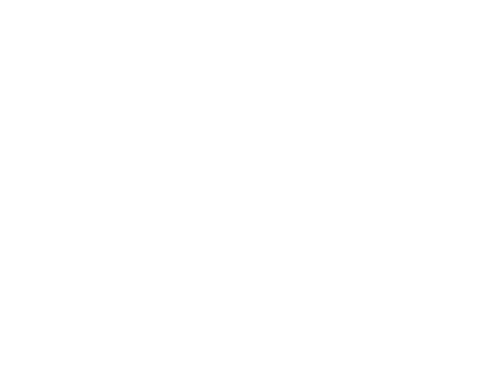 Bushmills