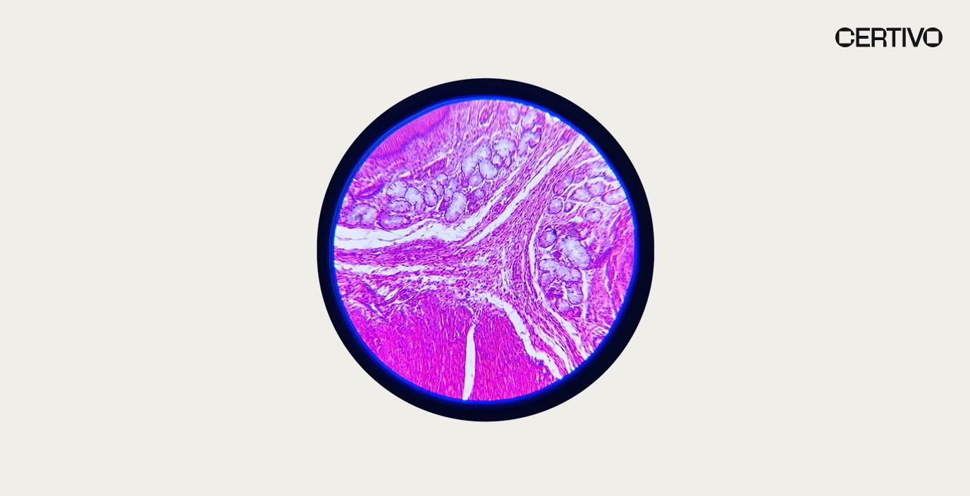 EU Retinol Restrictions Now in Effect: What Cosmetic Brands Need to Know Right Now