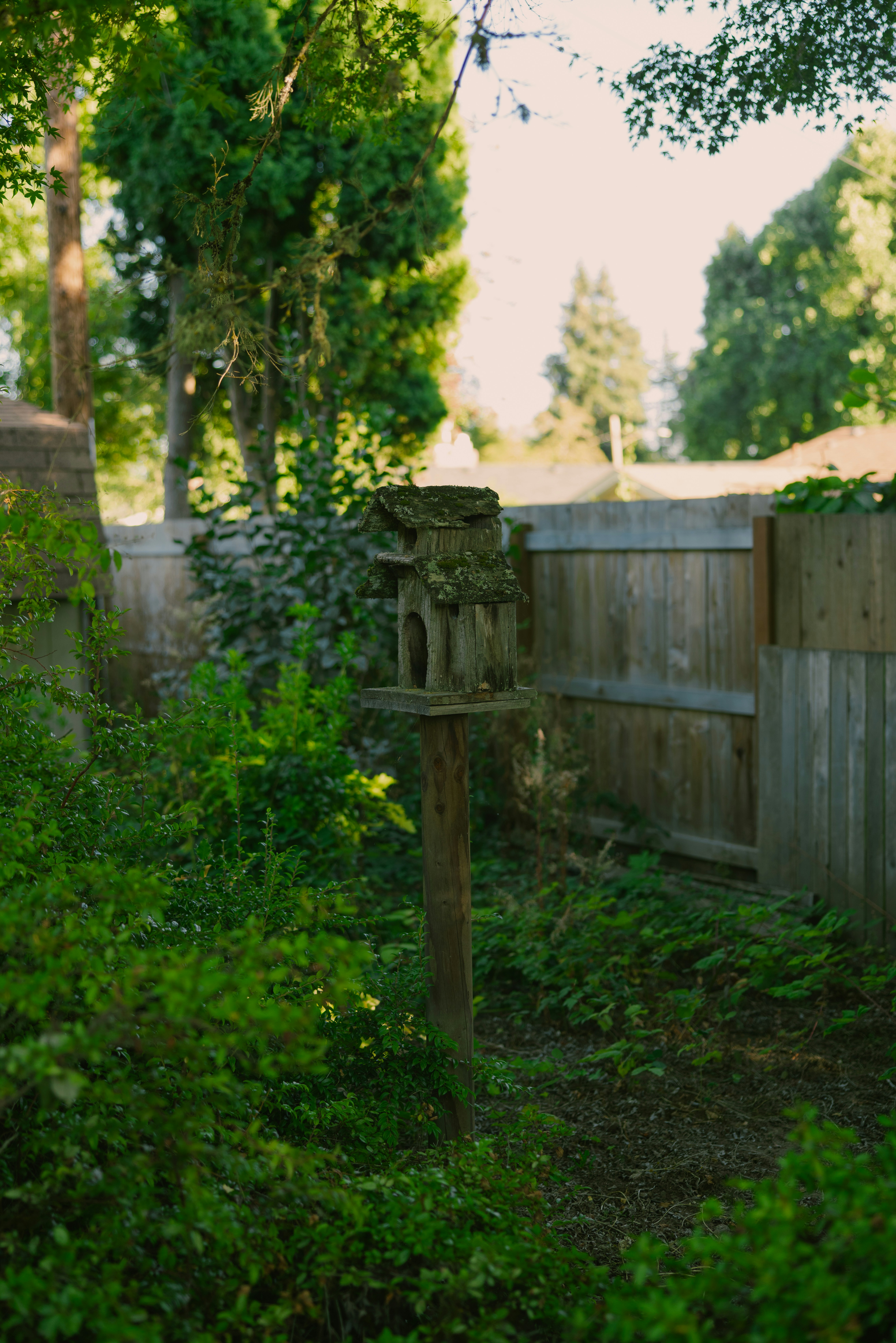 Rustic birdhouse on a wooden post in a garden.
