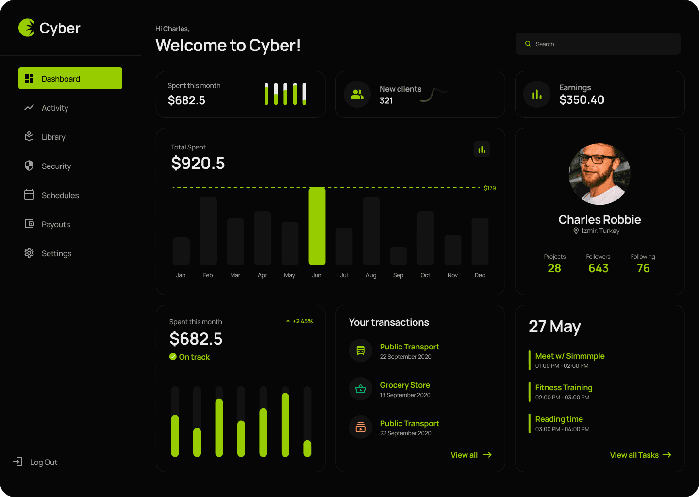 Cyber Dashboard