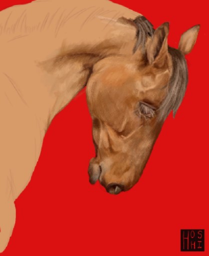 Buckskin horse bowing its head, on flat red, horse drawing by hoshichiikawa