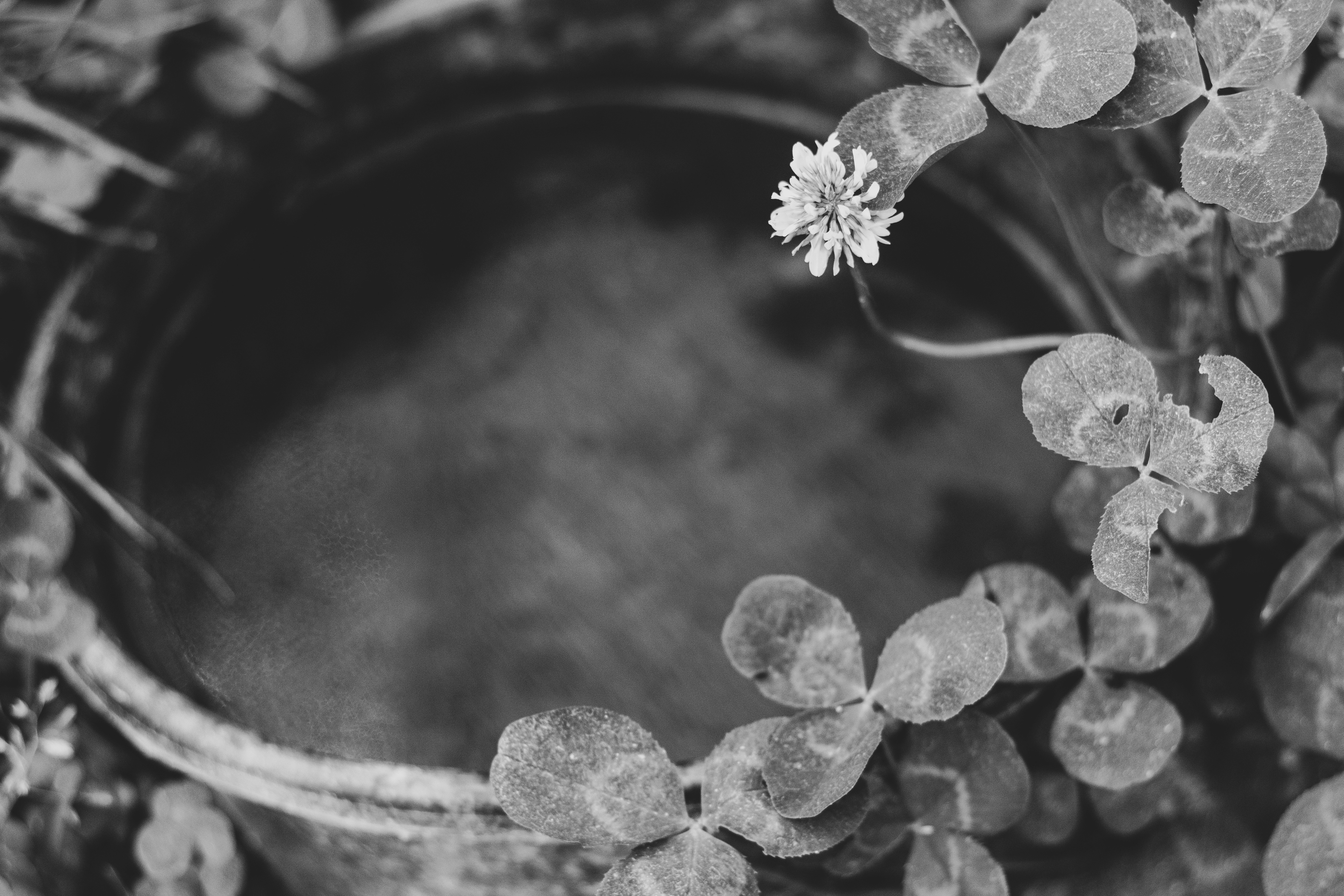 low angle photography of building