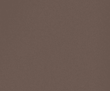 24-Dark Mocha Grey