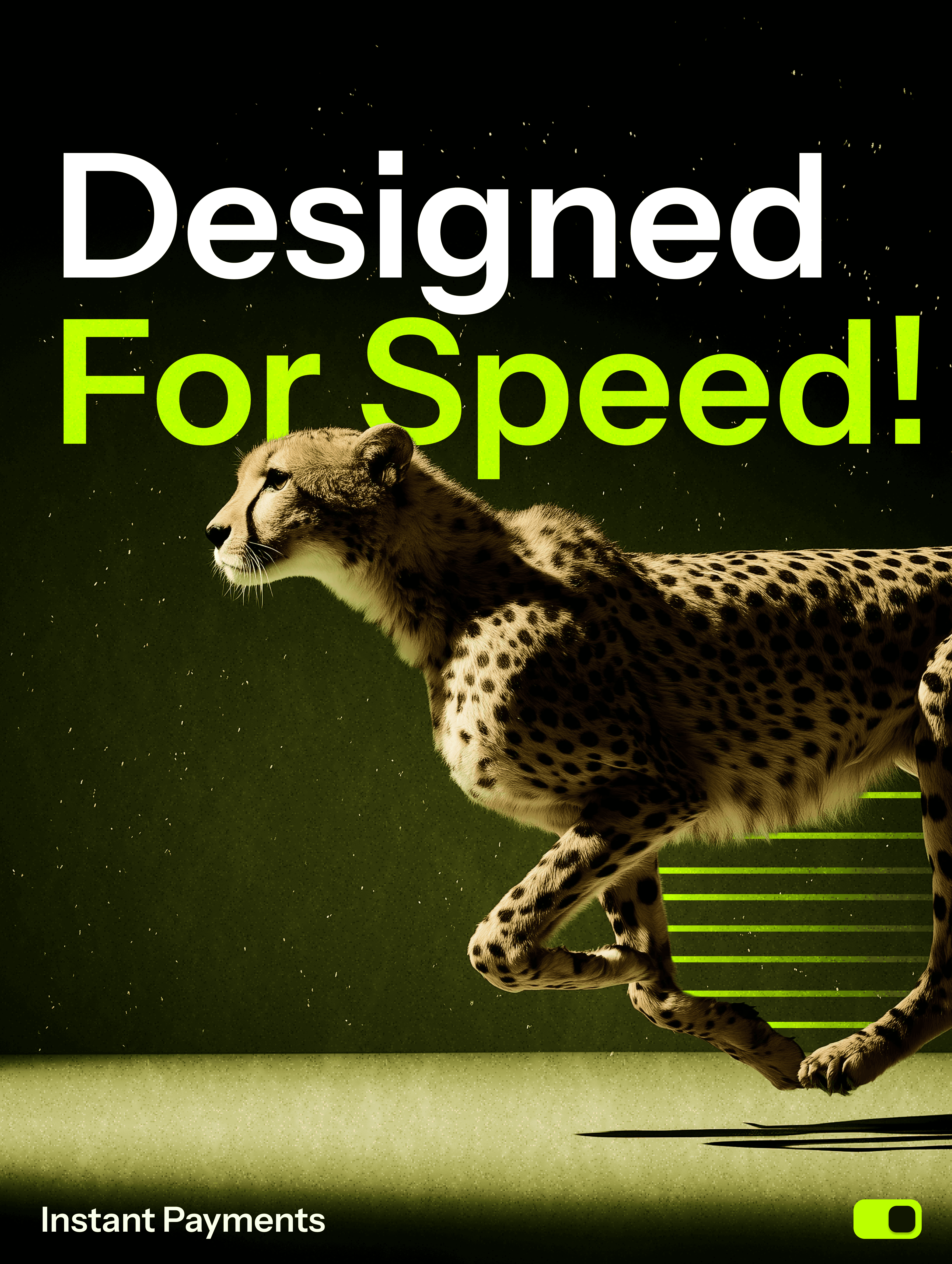 person managing their expenses on a laptop