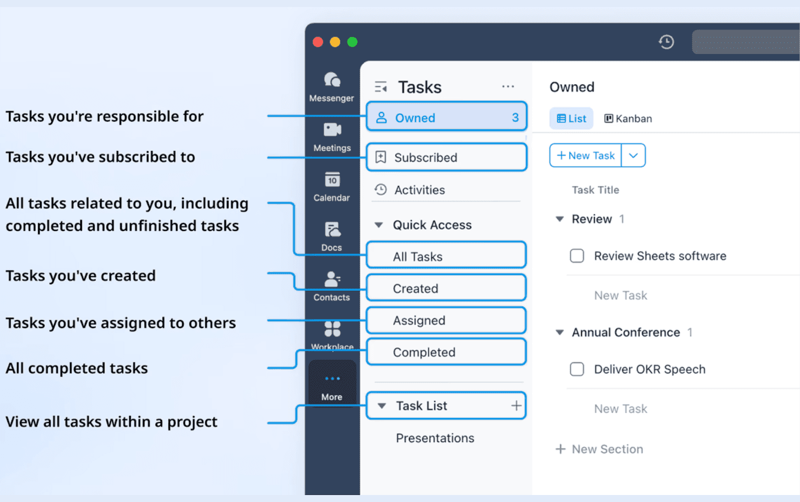  Lark task overview