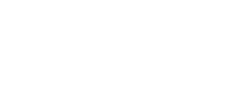 Client Icon