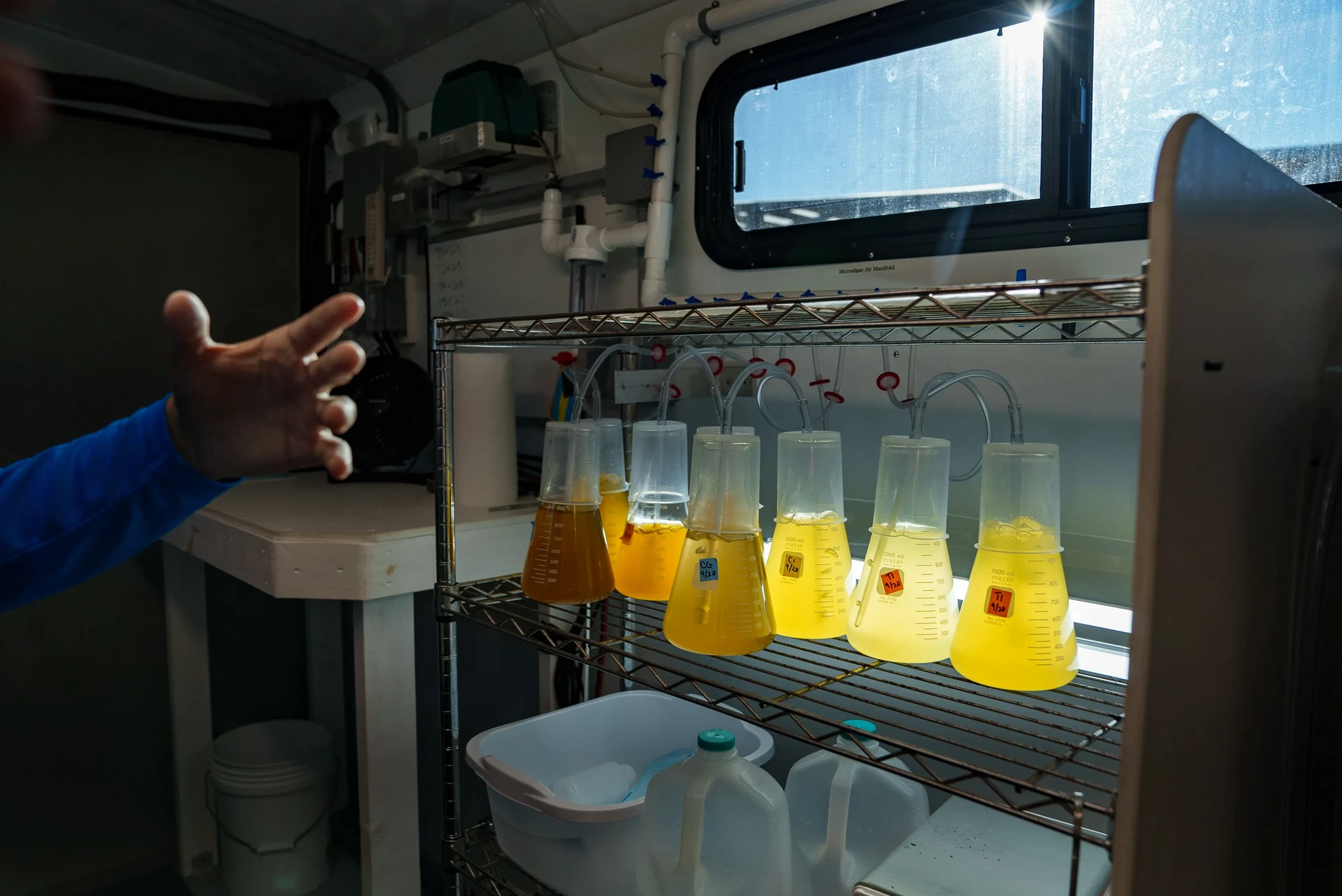 A hand gestures towards a set of conical flasks containing orange liquid on a metal shelf inside a laboratory. Sunlight shines through a window, illuminating the flasks. Pipes are connected to each flask for experimentation.