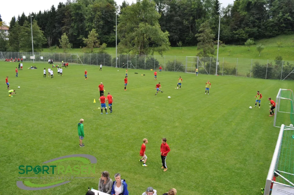 Nutzen von Rasenflächen