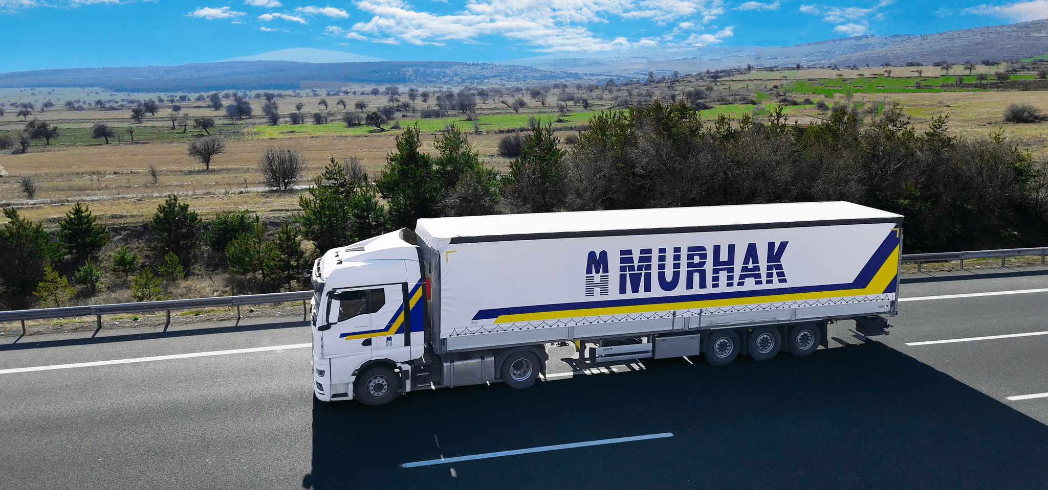 Mobile alert notification