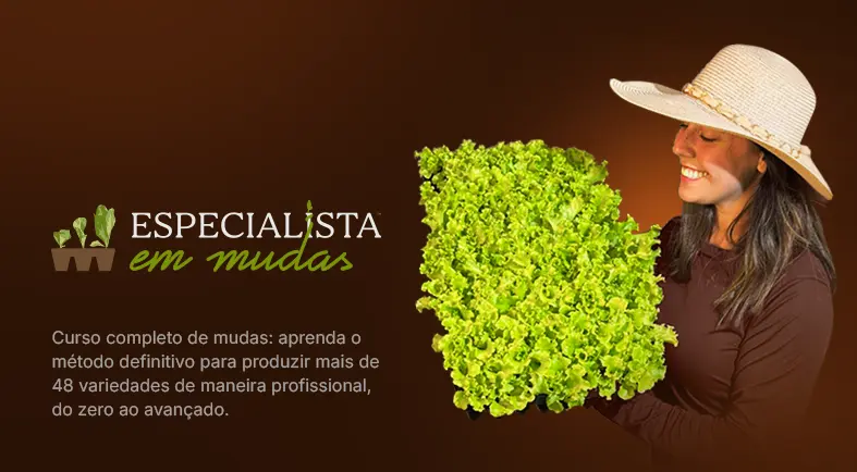 Banner do Curso Especialista em Mudas com imagem de produtora de chapéu de palha segurando um pé de alface.
