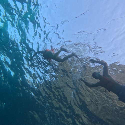 Excursie cu caiacul cu un tur al peșterilor de mare din zona de sud a Mallorcăi. Opriri pentru înot, snorkeling și gustări.