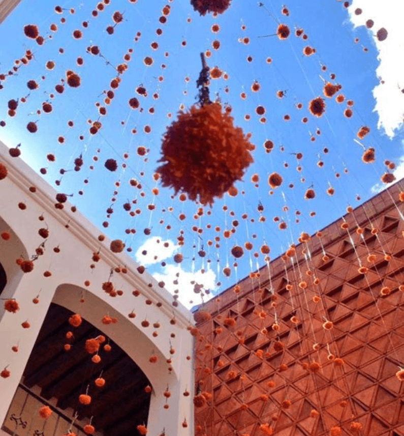 silhouette of trees near Aurora Borealis at night