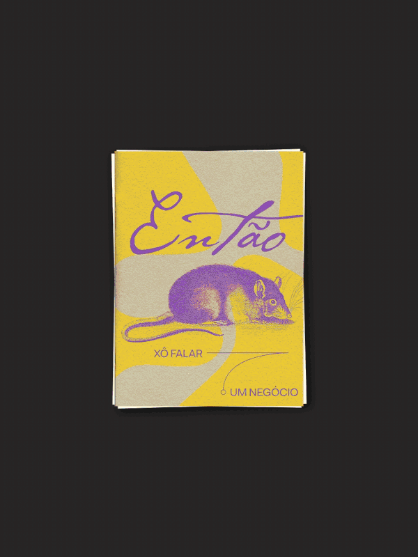 Luana Lloyd – zine -&nbsp;brazil and democracy