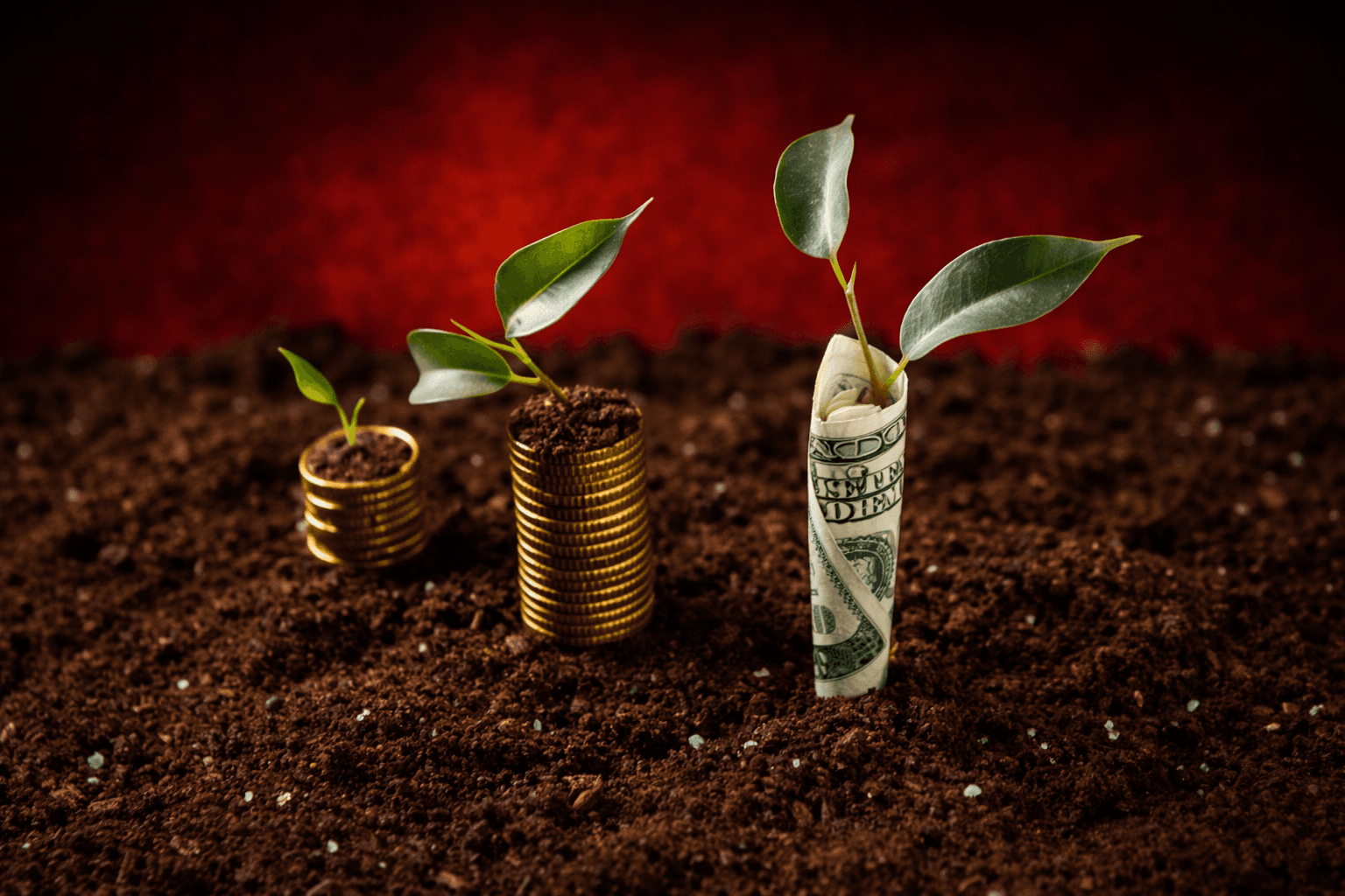 Growing plants from money symbolising measurable return on ad spend with PPC services in the UK focused on ROI and revenue growth by Guideway Media