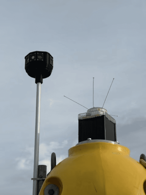 Fashion photoshoot with a woman posing in a dress