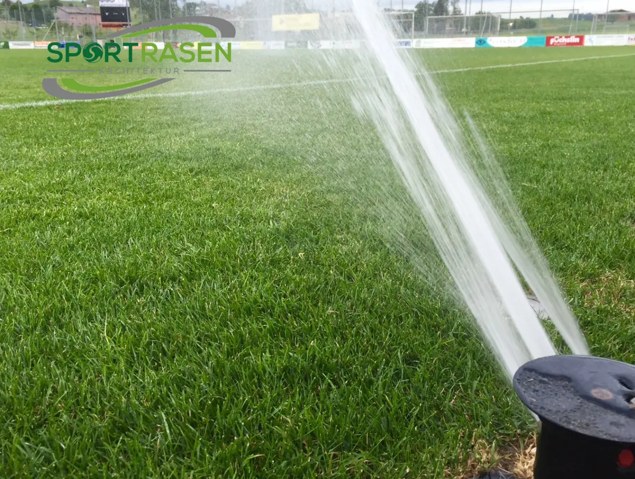 Ist Rasen wässern eine Wasserverschwendung?