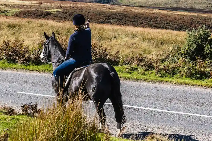 Reiter auf einem Pferd auf einer Straße