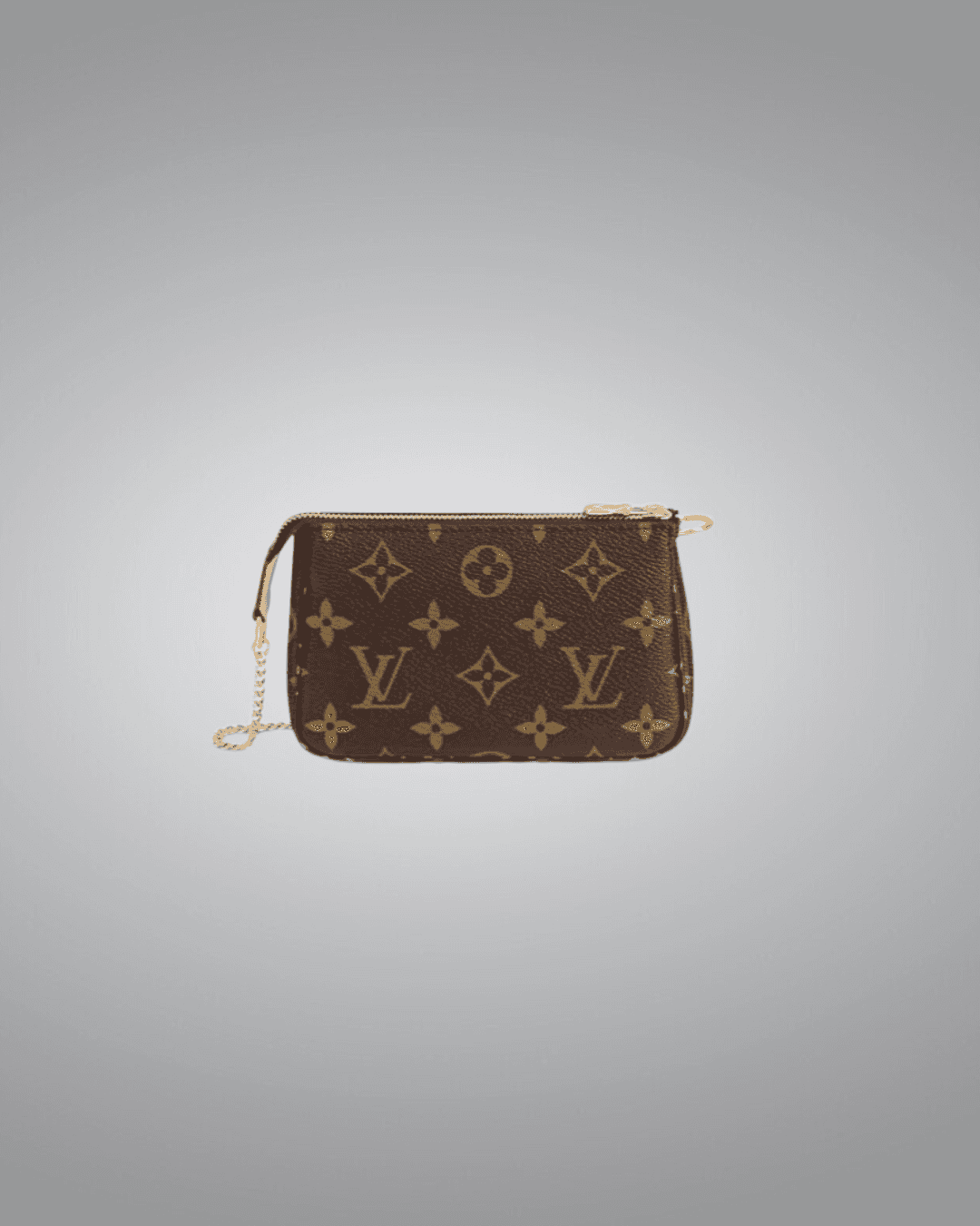 LV Mini Bag